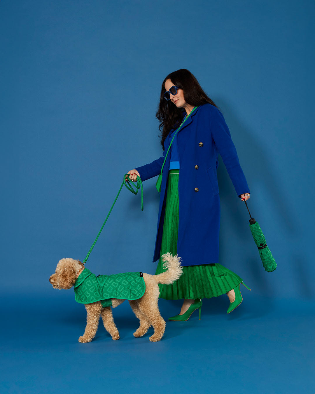 BLUNT - DOG JACKET | SMALL | PARK GREEN