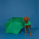 BLUNT - DOG JACKET | SMALL | PARK GREEN