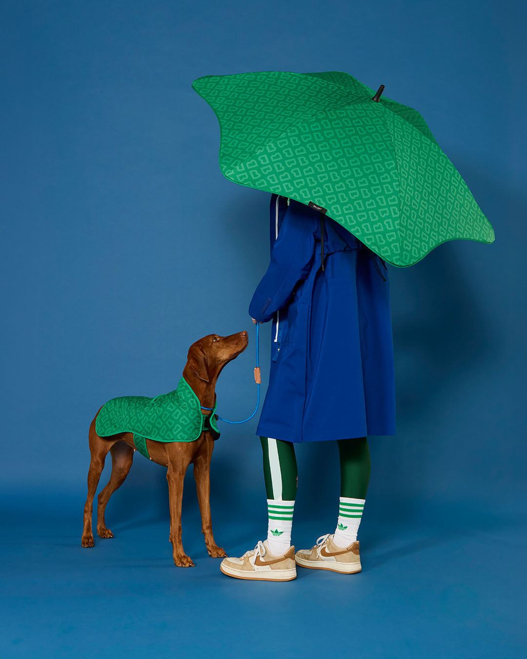 BLUNT - DOG JACKET | SMALL | PARK GREEN