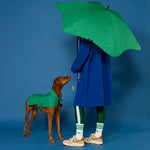 BLUNT - DOG JACKET | SMALL | PARK GREEN