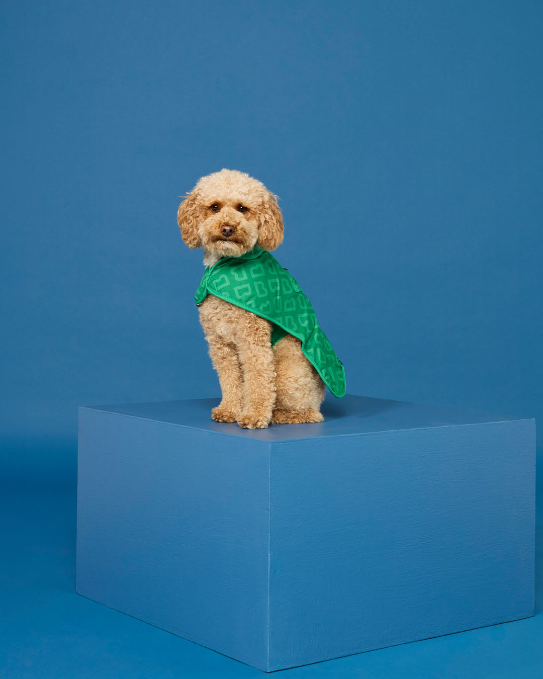 BLUNT - DOG JACKET | SMALL | PARK GREEN