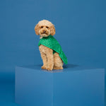 BLUNT - DOG JACKET | MEDIUM | PARK GREEN