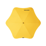 BLUNT - CLASSIC | CITRUS YELLOW