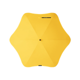 BLUNT - CLASSIC | CITRUS YELLOW
