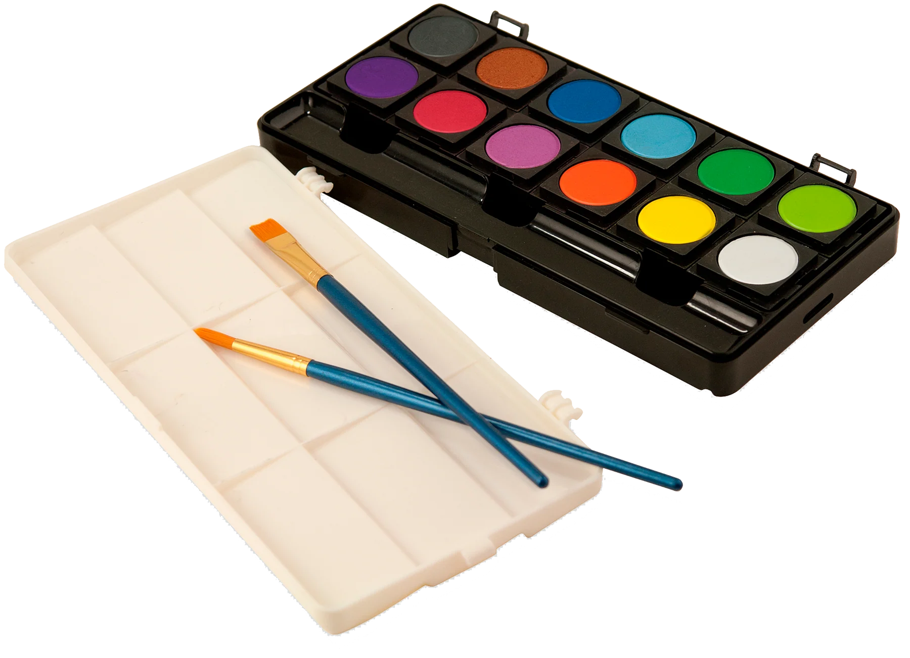 PETER PAUPER PRESS - STUDIO SERIES DRY GOUACHE PAINT SET | 12 OPAQUE WATERCOLOR PAINTS