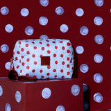 THE SOMEWHERE CO - COSMETIC CASE | FRECKLE
