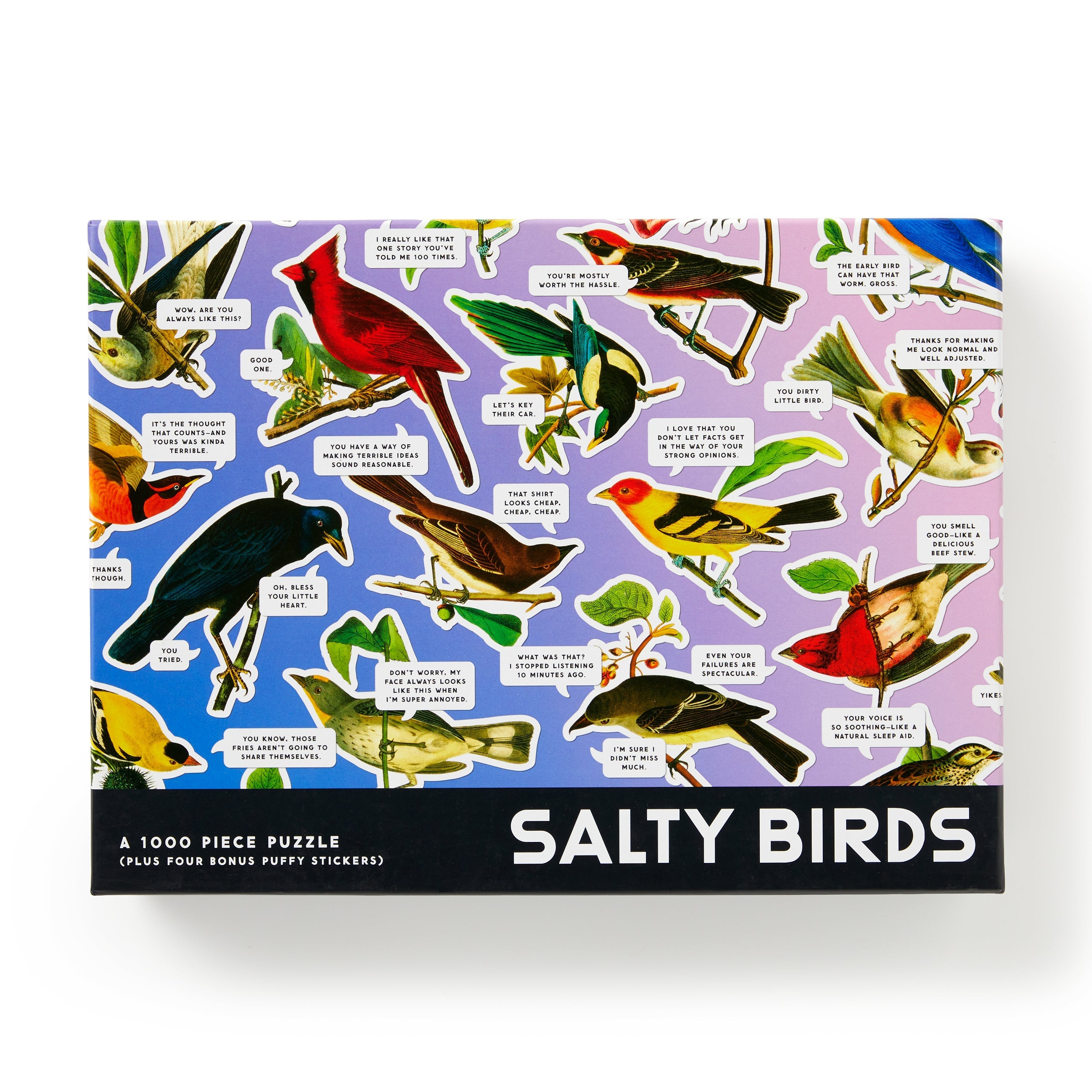 GALISON - 1000PC PUZZLE | SALTY BIRDS