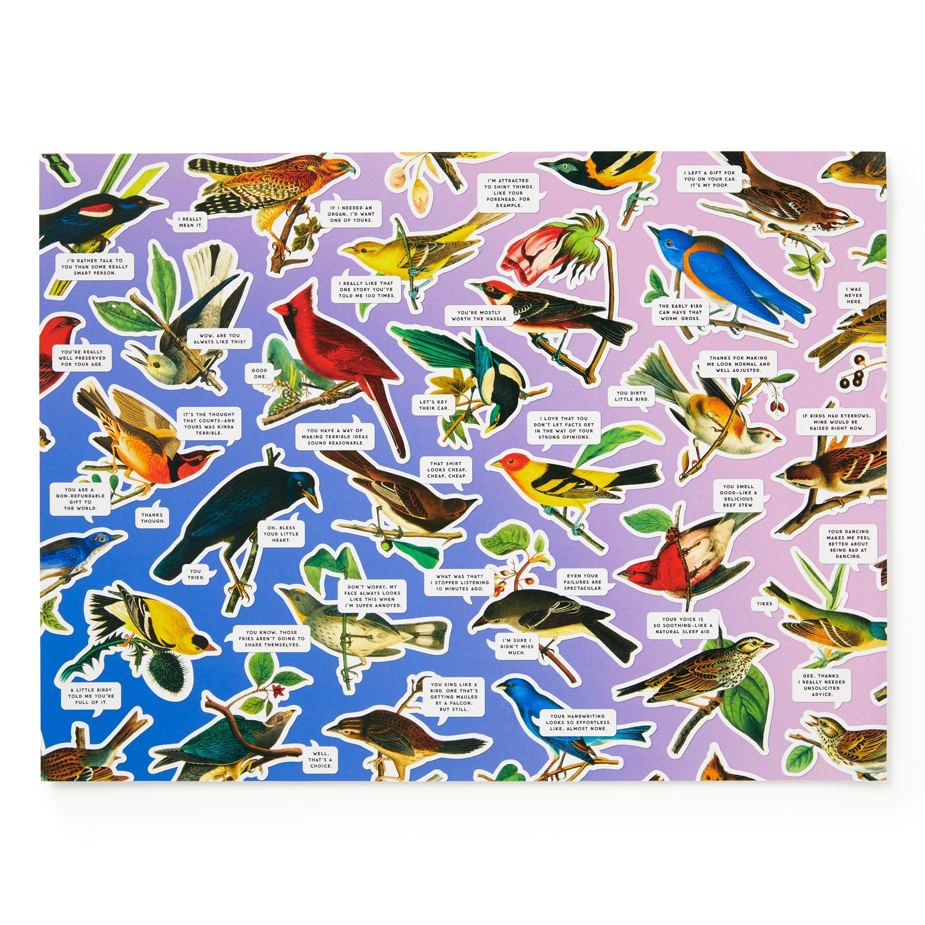 GALISON - 1000PC PUZZLE | SALTY BIRDS