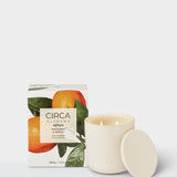 CIRCA Alchemy Soy Candle 300g Mandarin & Neroli