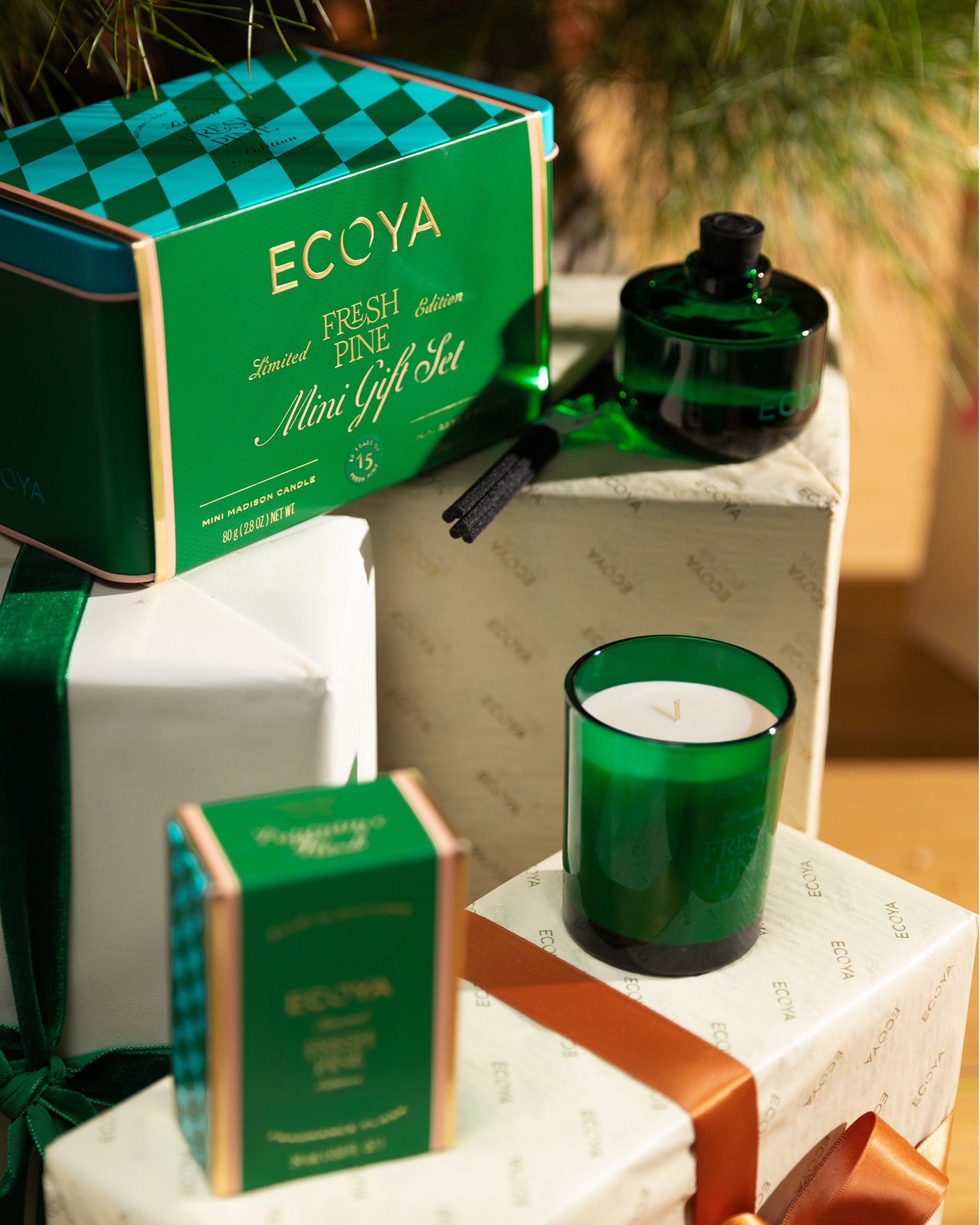 ECOYA Fresh Pine Mini Gift Set lifestyle