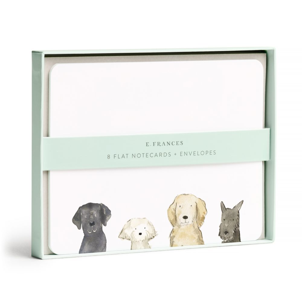 E FRANCES - FLAT NOTE BOXED SET | DOG DAYS