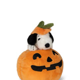 Snoopy Halloween in Pumpkin