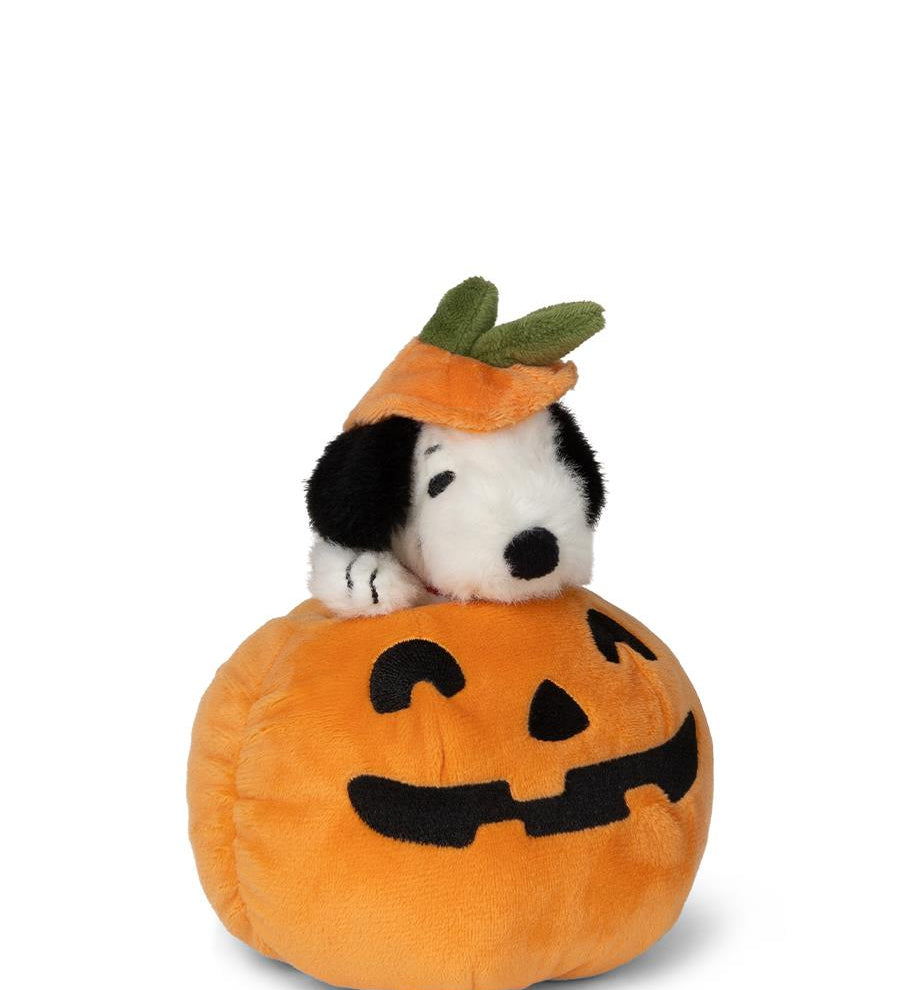 Snoopy Halloween in Pumpkin
