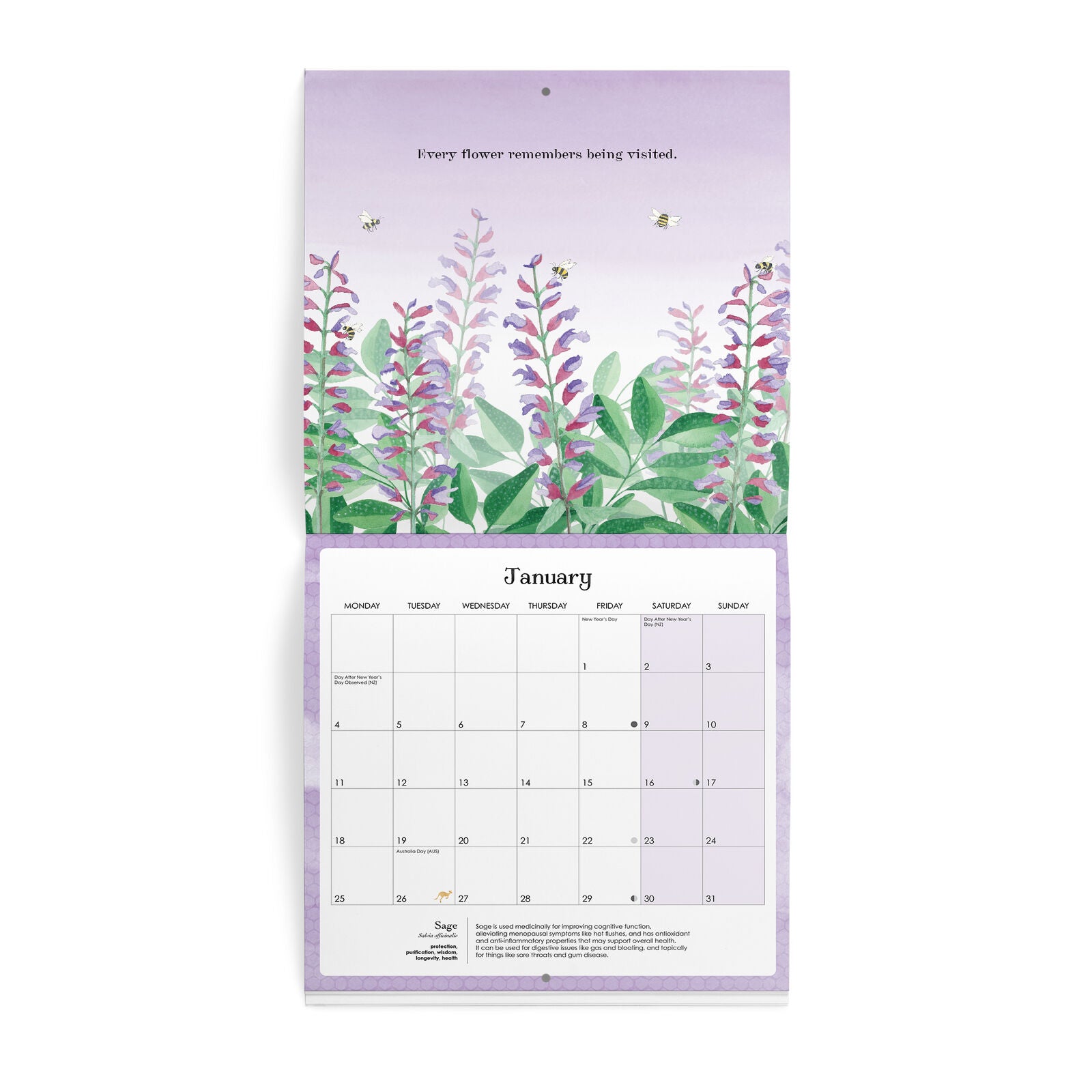AFFIRMATIONS - 2027 WALL CALENDAR | NATURE