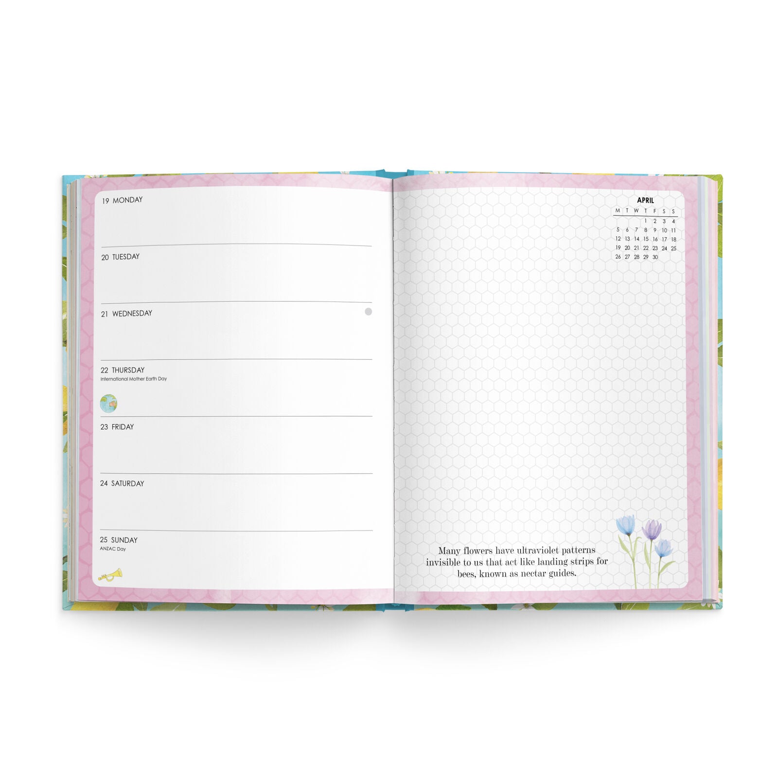 AFFIRMATIONS - 2027 DIARY | NATURE