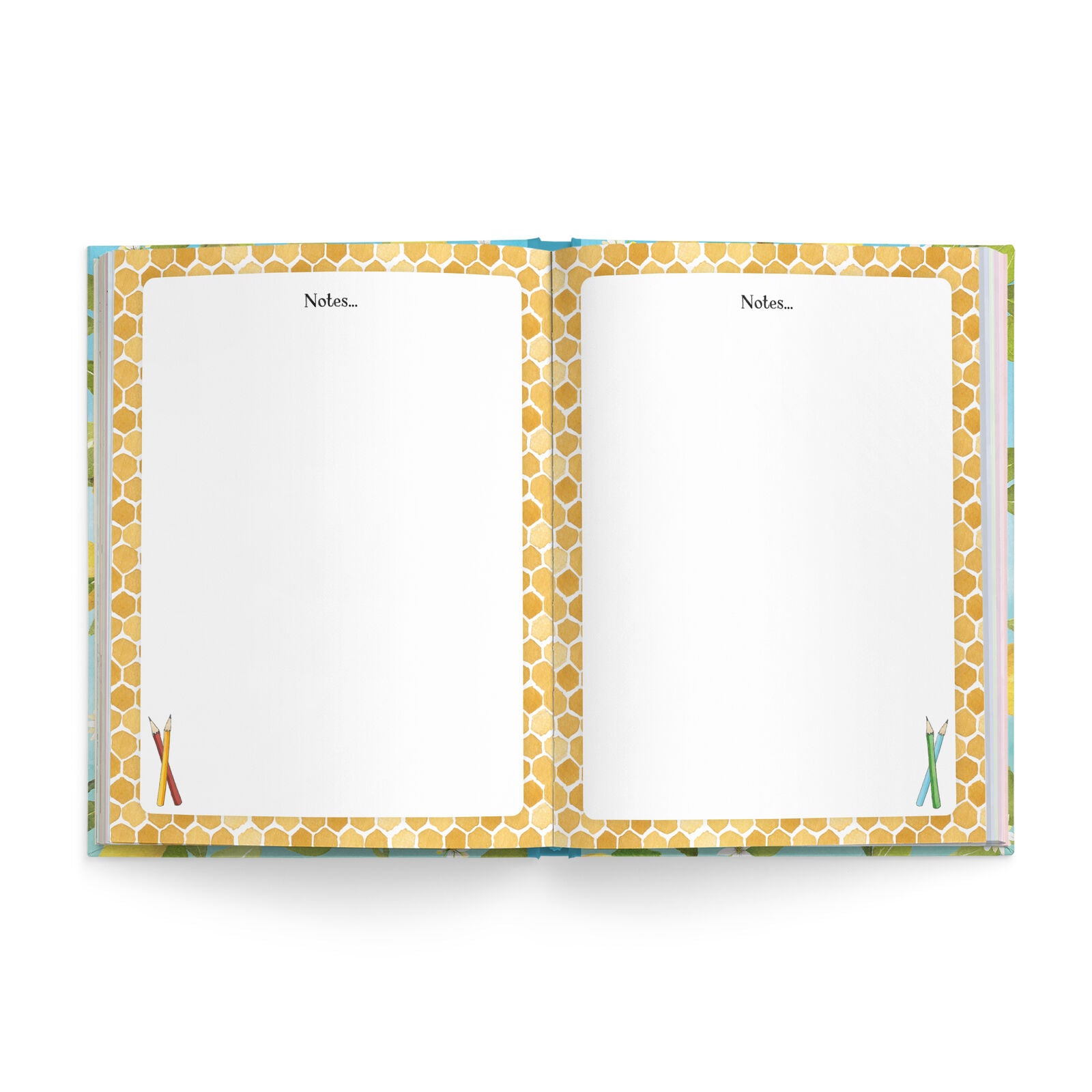 AFFIRMATIONS - 2027 DIARY | NATURE
