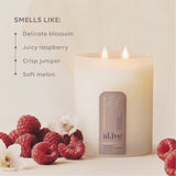 AL.IVE BODY - SOY CANDLE | RASPBERRY BLOSSOM & JUNIPER | STYLED