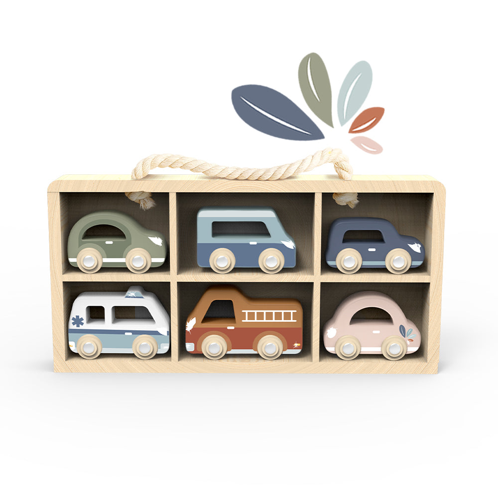 SPEEDY MONKEY - CAR DISPLAY CASE | 6 VEHICLES