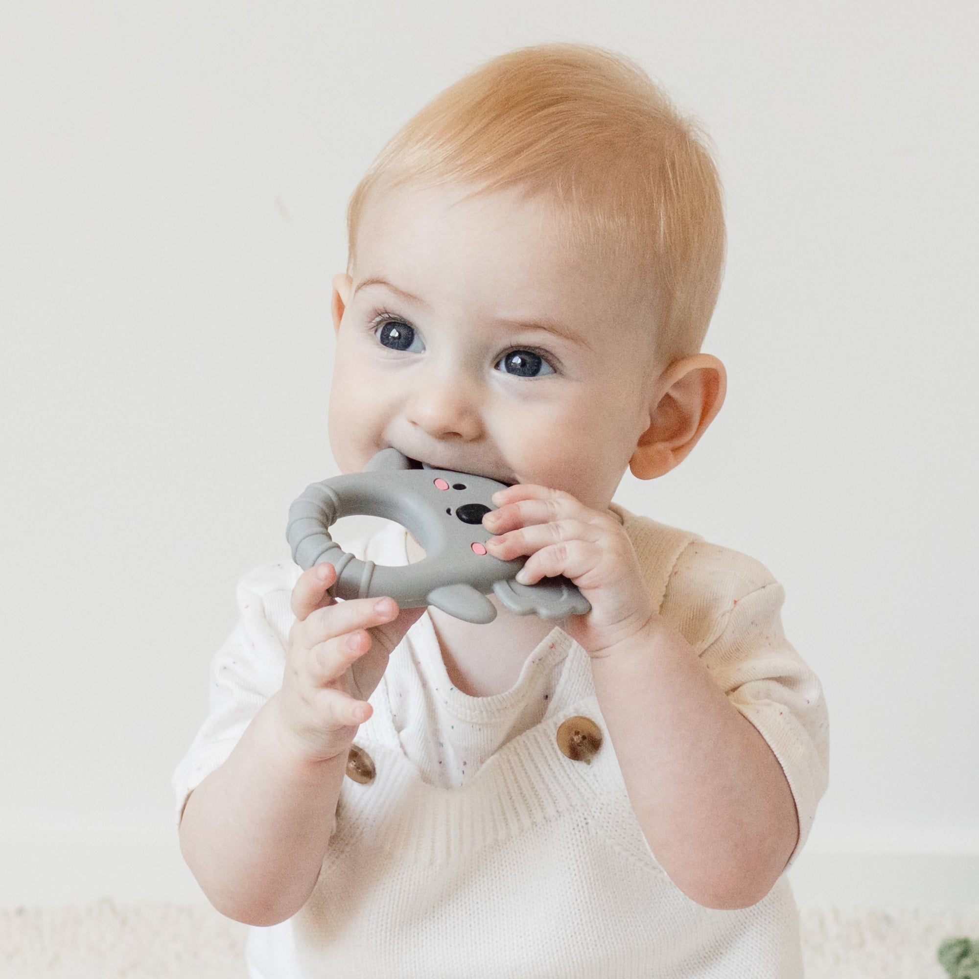 TIGER TRIBE - SILICONE TEETHER | KOALA