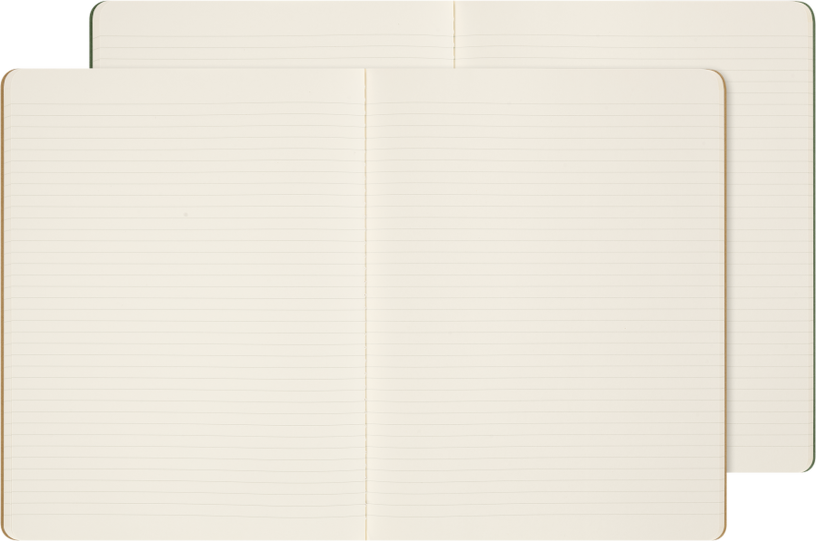 MOLESKINE - PEANUTS COLLECTION | CAHIER JOURNALS | XL | SET OF 2