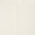 MOLESKINE - PEANUTS COLLECTION | CAHIER JOURNALS | XL | SET OF 2