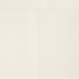MOLESKINE - PEANUTS COLLECTION | CAHIER JOURNALS | XL | SET OF 2