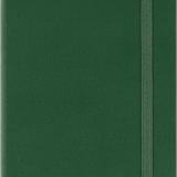 MOLESKINE - CLASSIC HARD COVER NOTEBOOK | RULED | POCKET | MYRTLE GREEN
