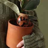Pepin Olla Macchiato Leopard in a plant pot