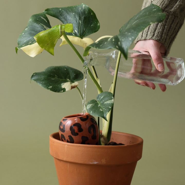 Pepin Olla Macchiato Leopard detail